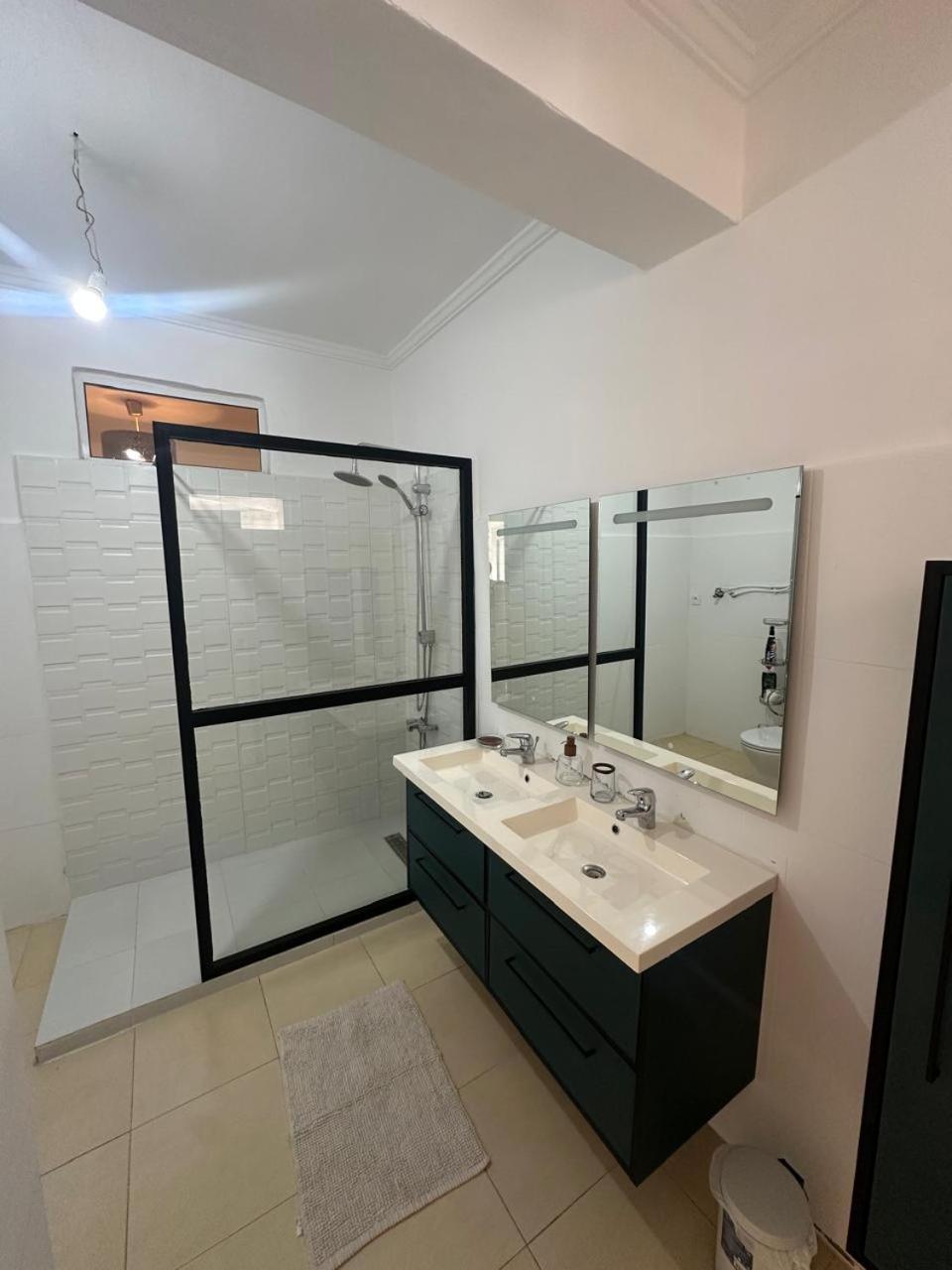 Tulipe Malabata Tangier